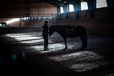 Man standing in stable