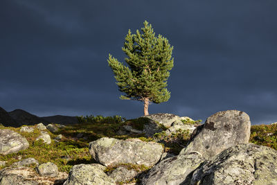 Close-up of rocks on rock against sky