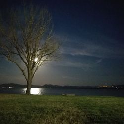 Scenic view of landscape against sky at night