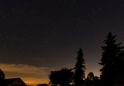 Low angle view of silhouette trees against sky at night