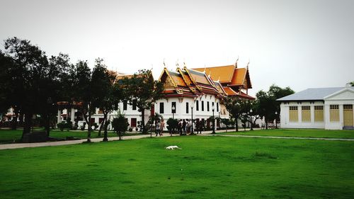 View of lawn with buildings in background