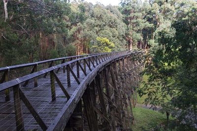 Scenic view of forest