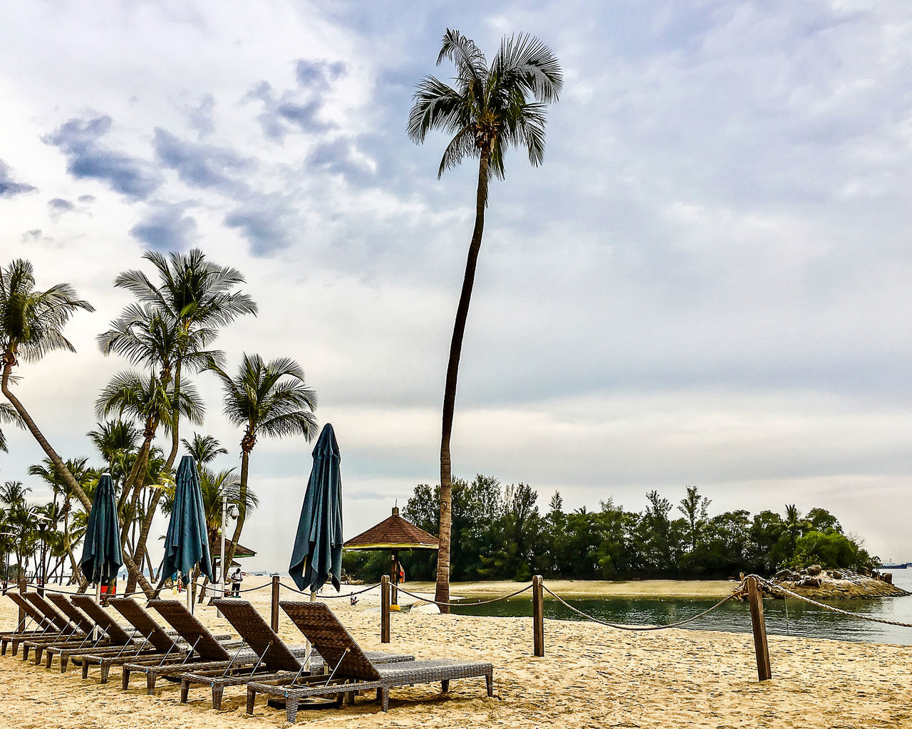 plant, sky, tropical climate, tree, palm tree, cloud - sky, water, nature, growth, beach, beauty in nature, land, sea, day, scenics - nature, tranquility, tranquil scene, coconut palm tree, tree trunk, outdoors, no people, tropical tree