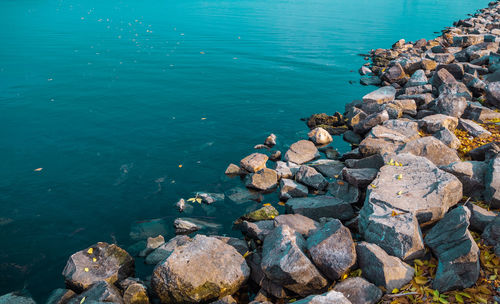 High angle view of rocks at river shore