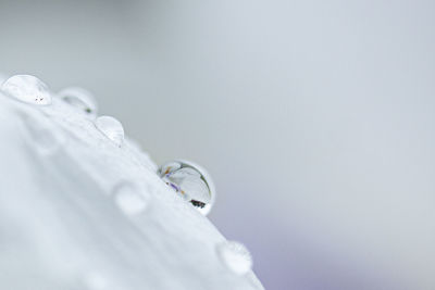 Close-up of snow on white background