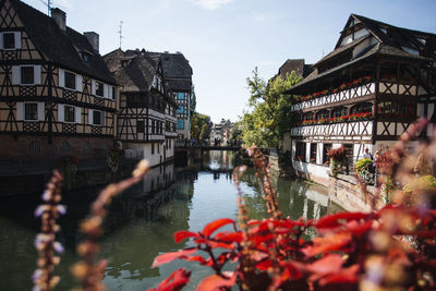 Canal amidst houses in city