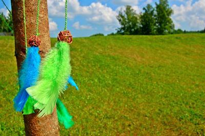 Clothes hanging on tree against sky