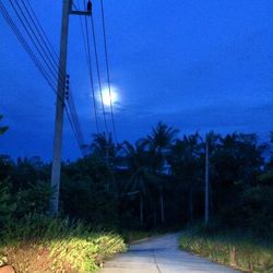 Empty road along trees