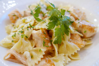 Ravioli and cheese garnished with coriander