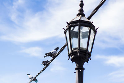 Low angle view of pigeons perching on cable by gaslight against sky