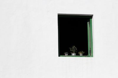 Close-up of window