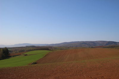 Scenic view of field against clear blue sky