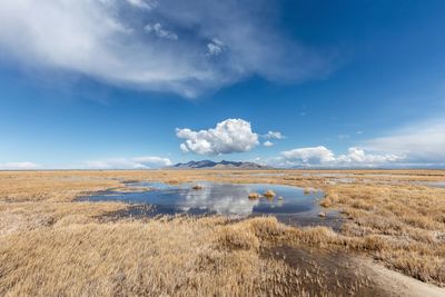 Scenic view of land against sky