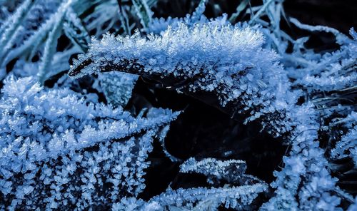 Close-up of frozen water in winter