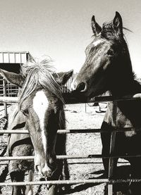Low angle view of elephant sculpture against sky