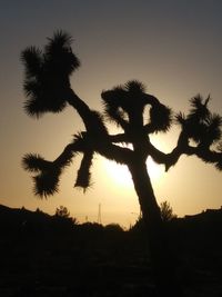 Low angle view of silhouette trees against sky during sunset