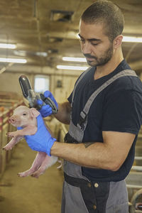 Farm worker gives a newborn piglet an iron injection.