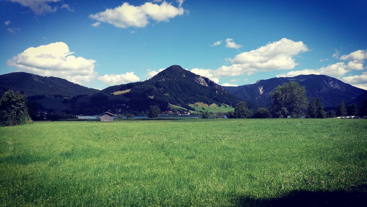 SCENIC VIEW OF FIELD AGAINST MOUNTAINS