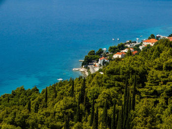 High angle view of trees and sea against clear sky