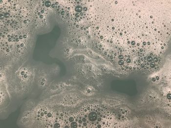 High angle view of bubbles in bathroom