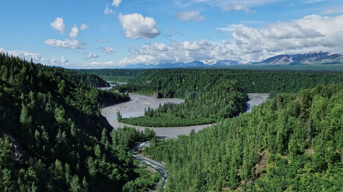 High angle view of trees on landscape against sky