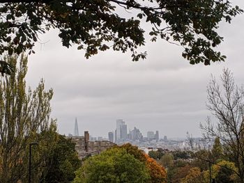 Trees and buildings against sky
