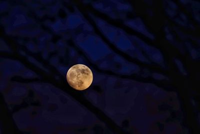 Low angle view of moon against sky at night