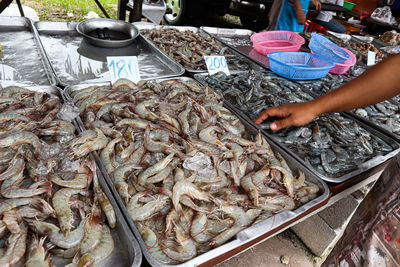 High angle view of fish for sale in market