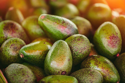 Ripe avocados at farmer's market