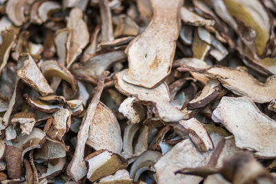 Full frame shot of dried leaves