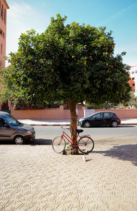 Cars parked on road