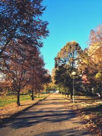 Road amidst trees against clear sky during autumn