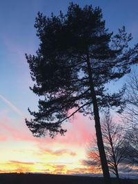 Low angle view of silhouette tree against sky during sunset