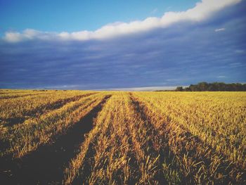 Scenic view of field against cloudy sky