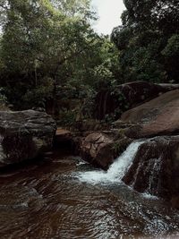 Scenic view of waterfall in forest