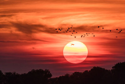 Scenic view of sunset