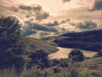 Scenic view of landscape against cloudy sky