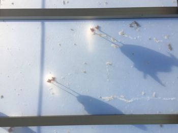 High angle view of cigarette on glass window