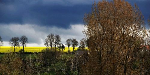 Scenic view of field against cloudy sky