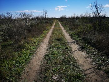 Dirt road on field against sky