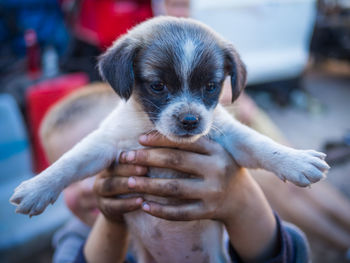 Close-up of young boy holding cute puppy