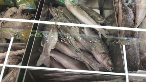 Close-up of fish for sale in market