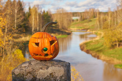 Halloween carved pumpkin with blurred landscape on the background.