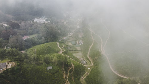 High angle view of trees on landscape