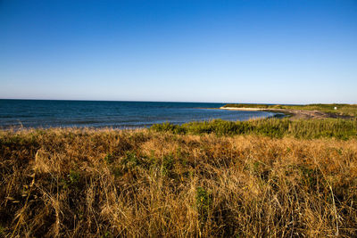 Scenic view of sea against clear blue sky