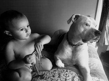 High angle view of naked baby boy sitting with dog on bed at home