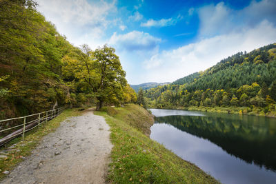 Scenic view of lake by trees against sky