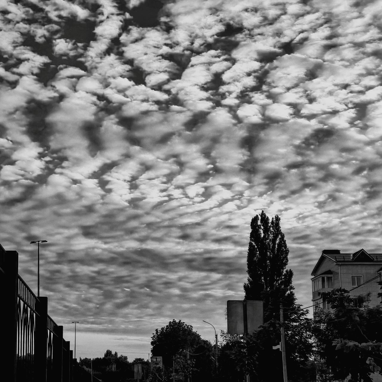 Clouds & Sky Cloudscapes Clouds Collection City Tree Sunset Multi Colored Sky Architecture Building Exterior Built Structure Cloud - Sky Urban Skyline Dramatic Sky Cityscape Atmospheric Mood