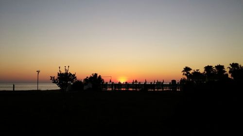 Silhouette of palm trees at sunset