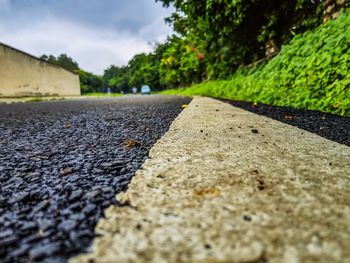 Surface level of road against trees